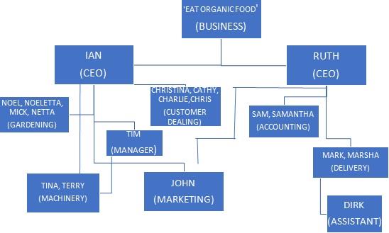 Systems Analysis and Design.jpg